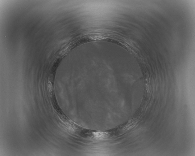 X0000060790371200512011712