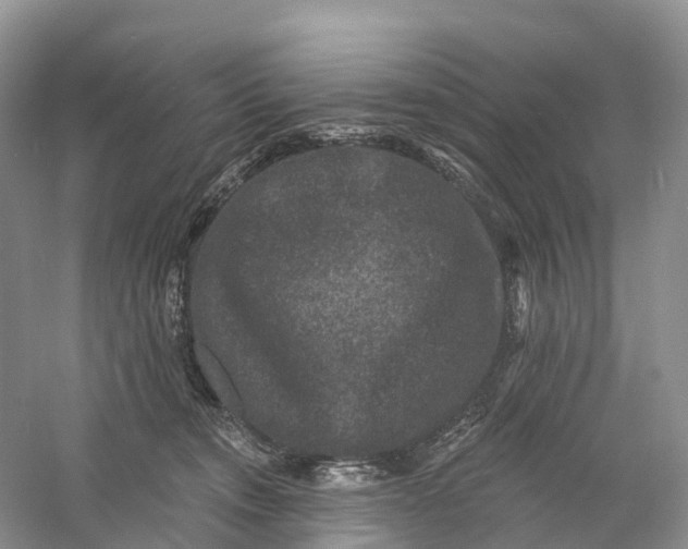 X0000060790372200512011712