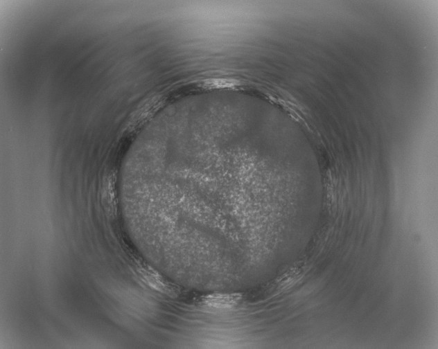 X0000060790373200512011712