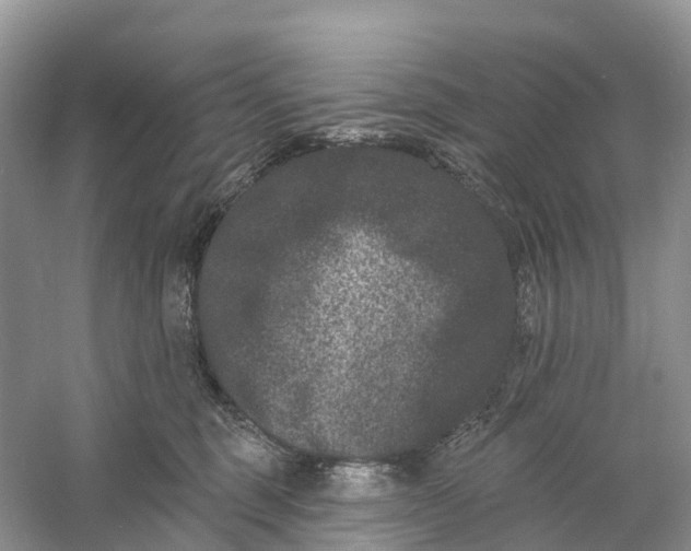 X0000060790375200512011712