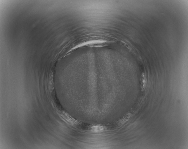 X0000060790376200512011712