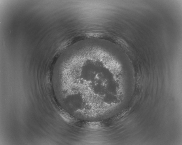 X0000060790377200512011712