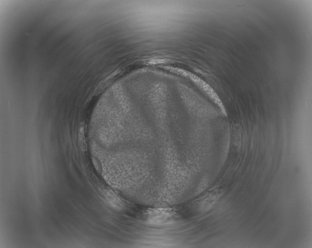 X0000060790378200512011712