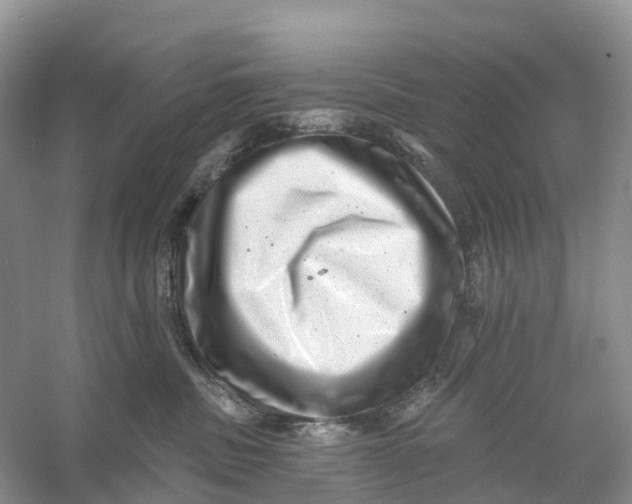 X0000060790379200512011712