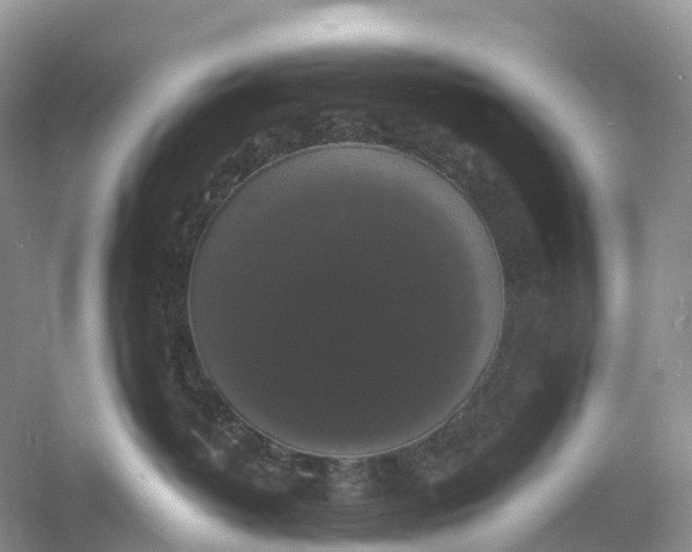 X0000060790382200512011712