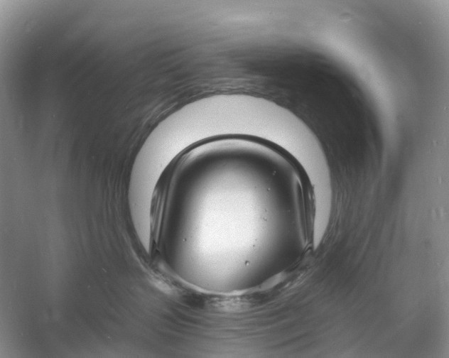 X0000060790383200512011712