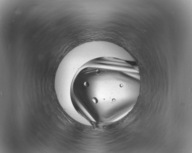 X0000060790384200512011712