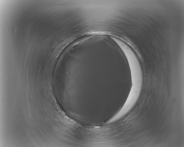 X0000060790385200512011712