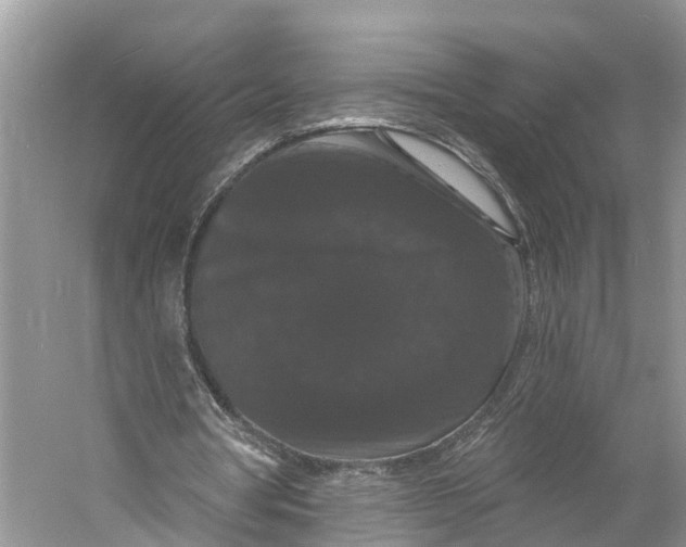 X0000060790386200512011712