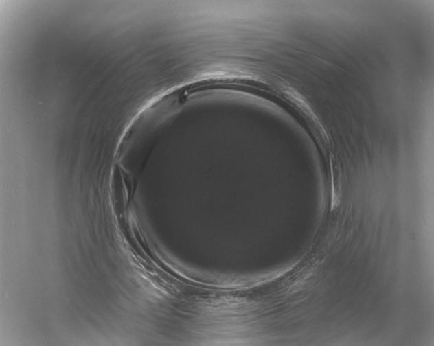 X0000060790387200512011712