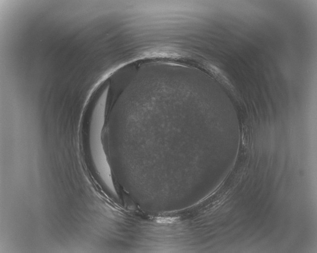 X0000060790388200512011712