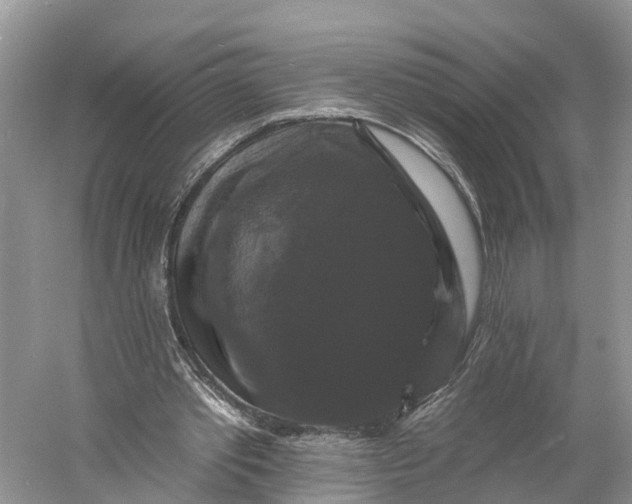 X0000060790389200512011712