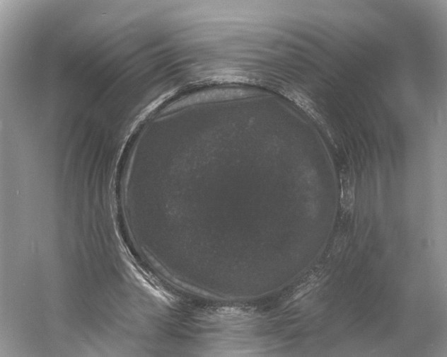 X0000060790390200512011712