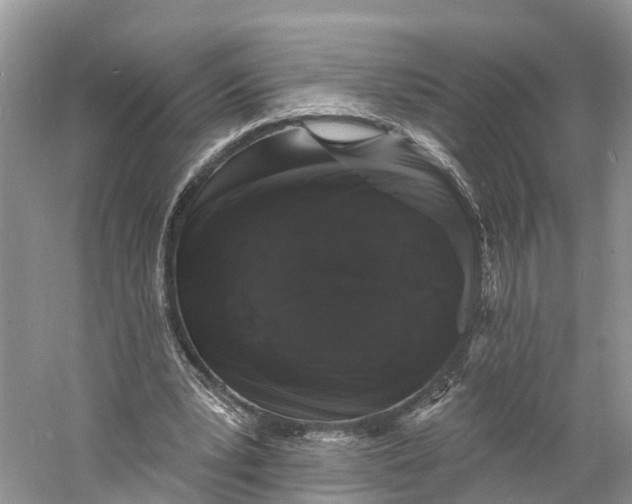 X0000060790391200512011711