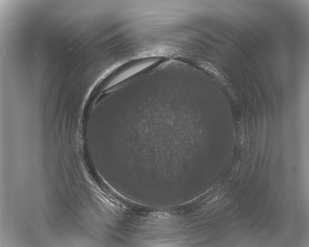 X0000060790392200512011711