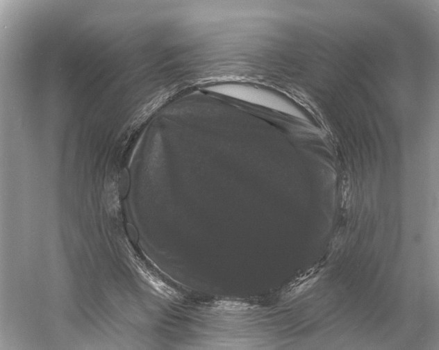 X0000060790393200512011711