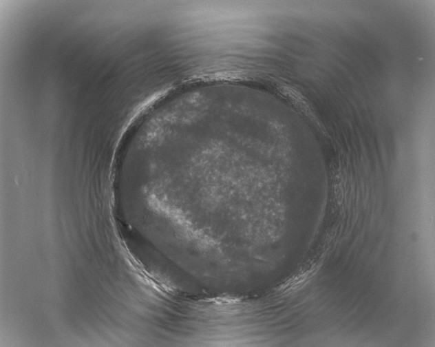 X0000060790395200512011711