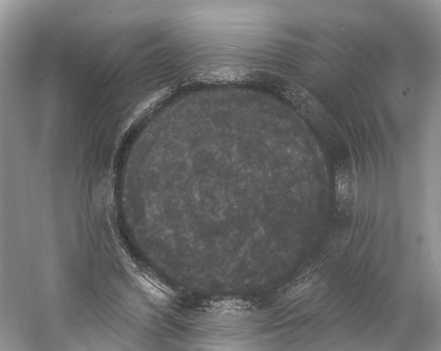 X0000060790396200512011711