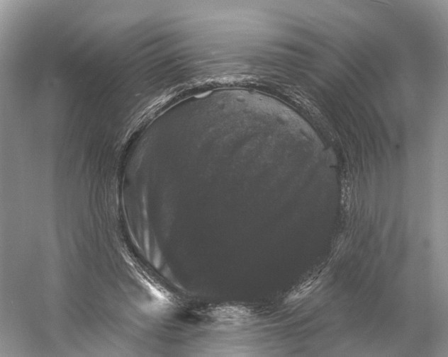 X0000060790397200512011711