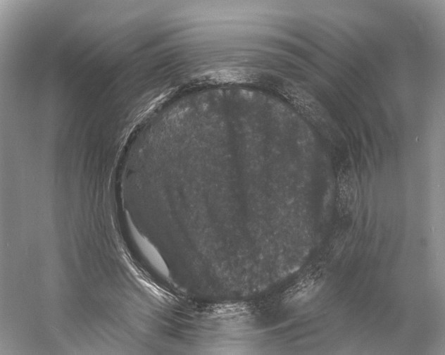 X0000060790398200512011711