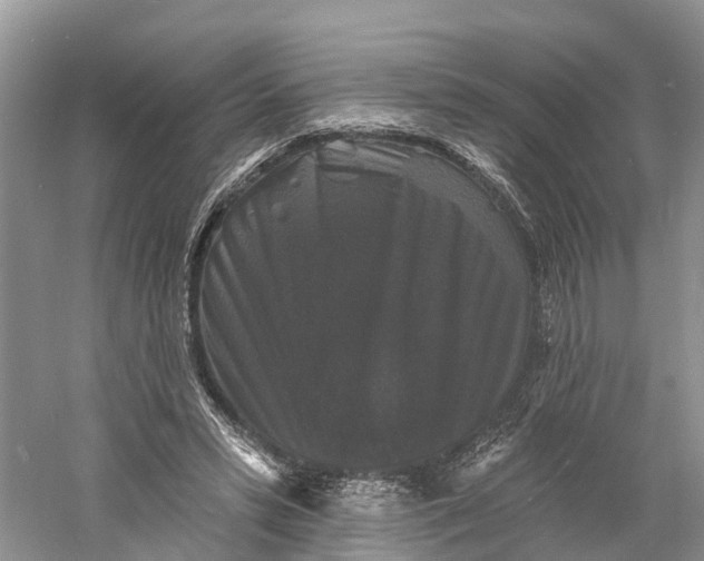 X0000060790399200512011711