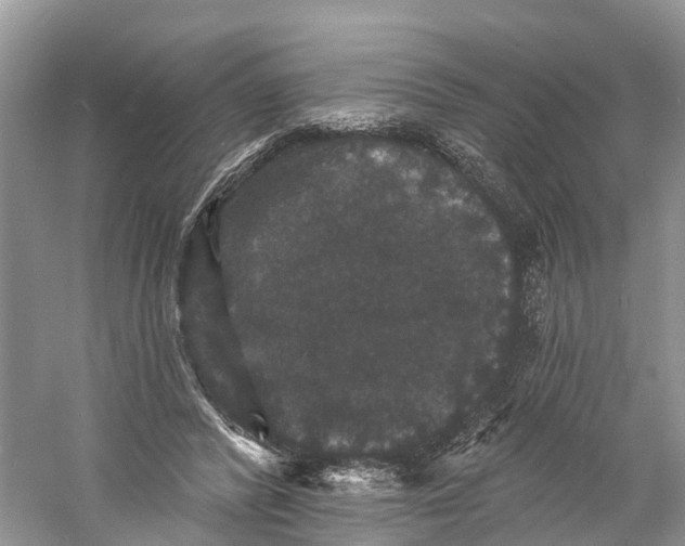 X0000060790400200512011711