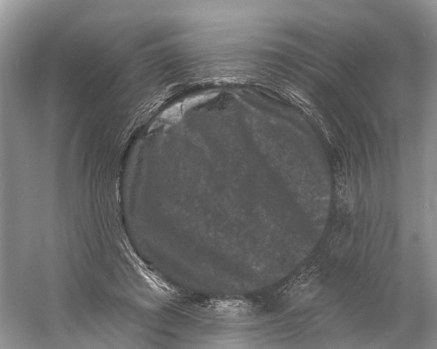 X0000060790401200512011711