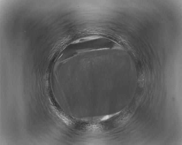 X0000060790402200512011711