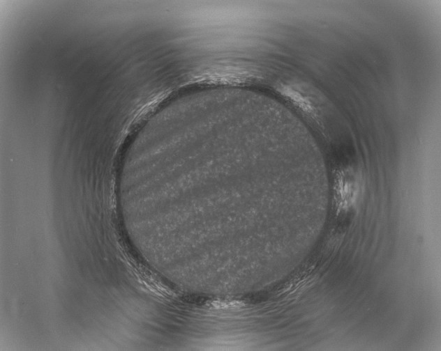 X0000060790403200512011711