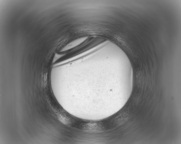 X0000060790406200512011711