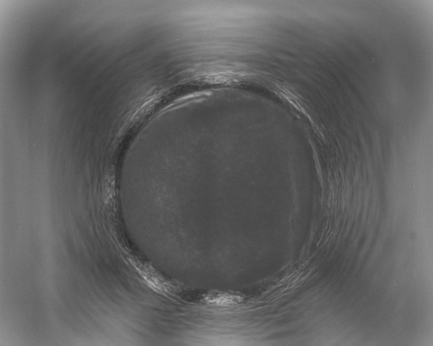 X0000060790407200512011711