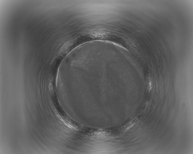 X0000060790408200512011711