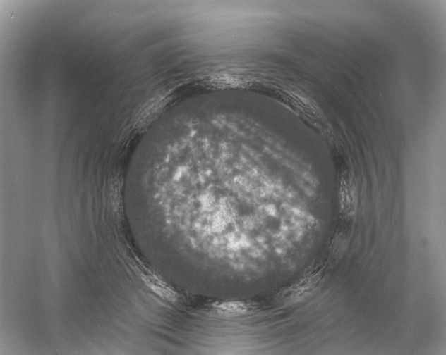 X0000060790409200512011711