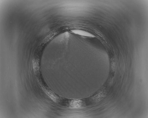 X0000060790410200512011711