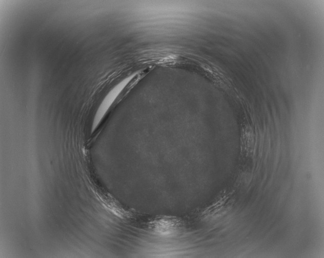 X0000060790412200512011711