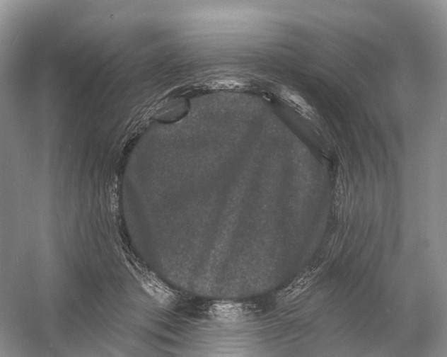 X0000060790413200512011711