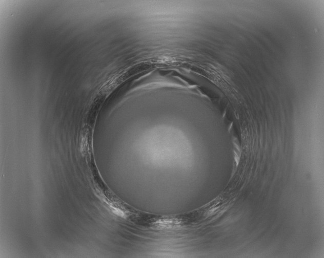 X0000060790415200512011711