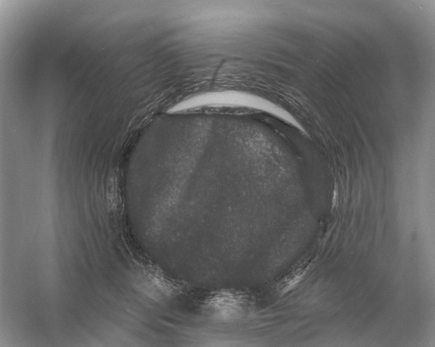 X0000060790416200512011711