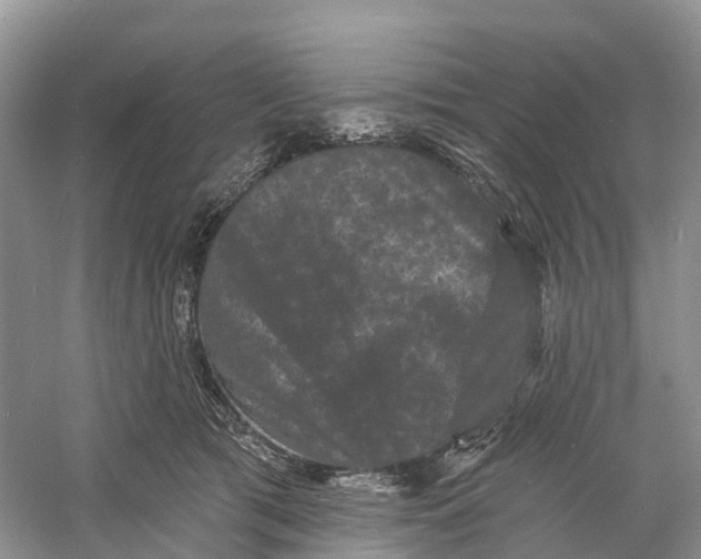 X0000060790417200512011711