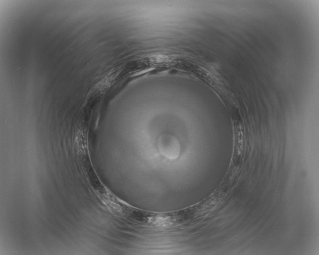 X0000060790419200512011711