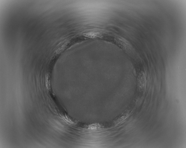 X0000060790420200512011711