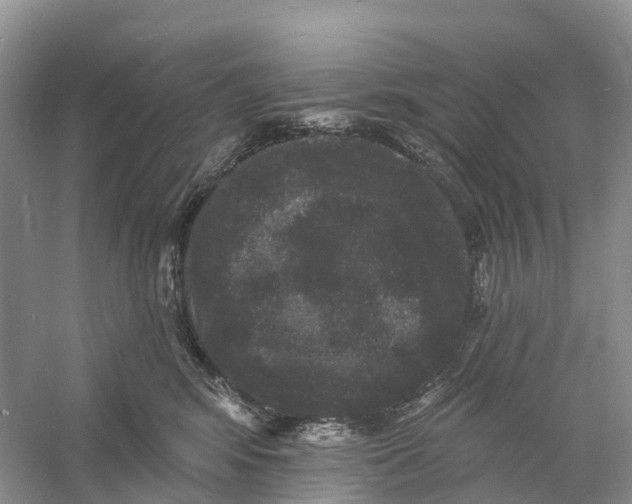 X0000060790424200512011711