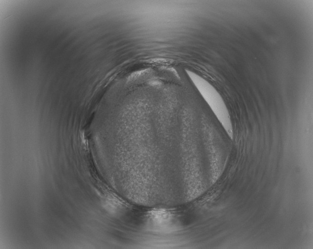 X0000060790425200512011711