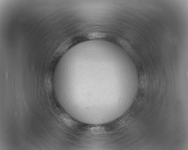 X0000060790426200512011711