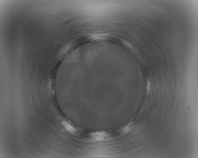 X0000060790428200512011711