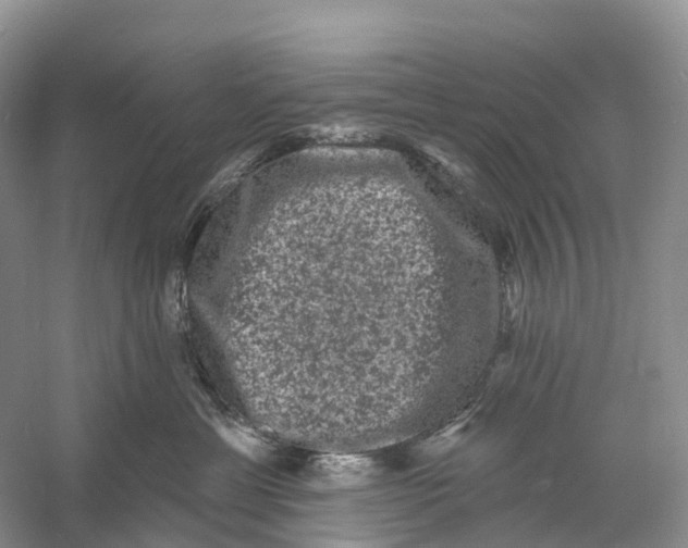 X0000060790429200512011711