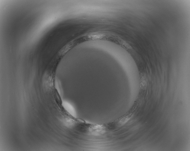 X0000060790431200512011711