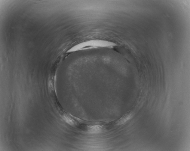 X0000060790432200512011711