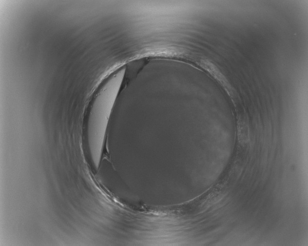 X0000060790434200512011710