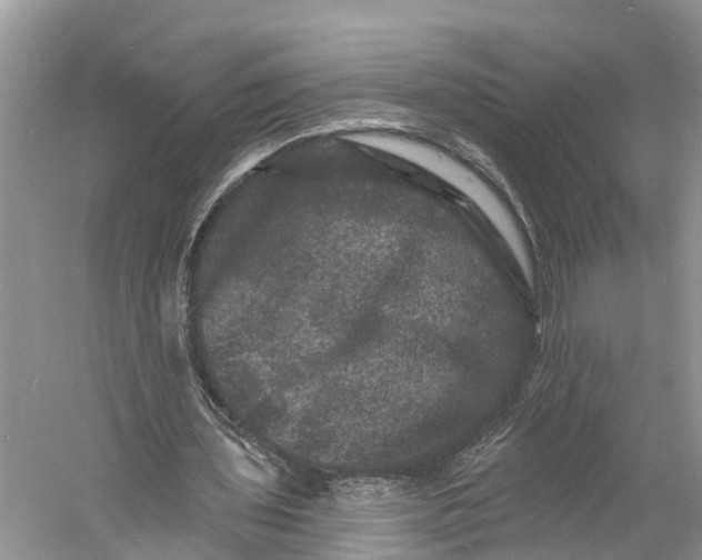 X0000060790435200512011710